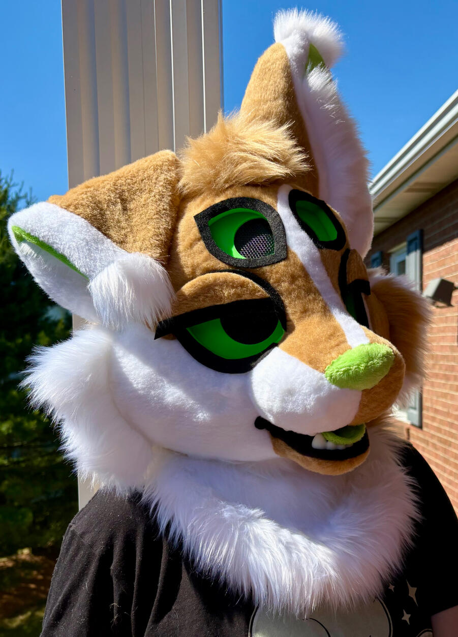 Bleb Head (Jun 2026)