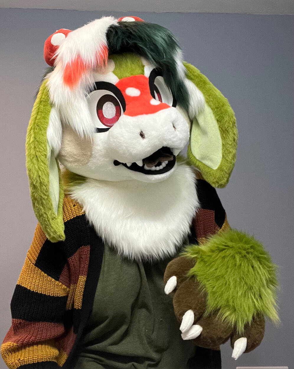 Moosh Mini Partial (Feb 2025)