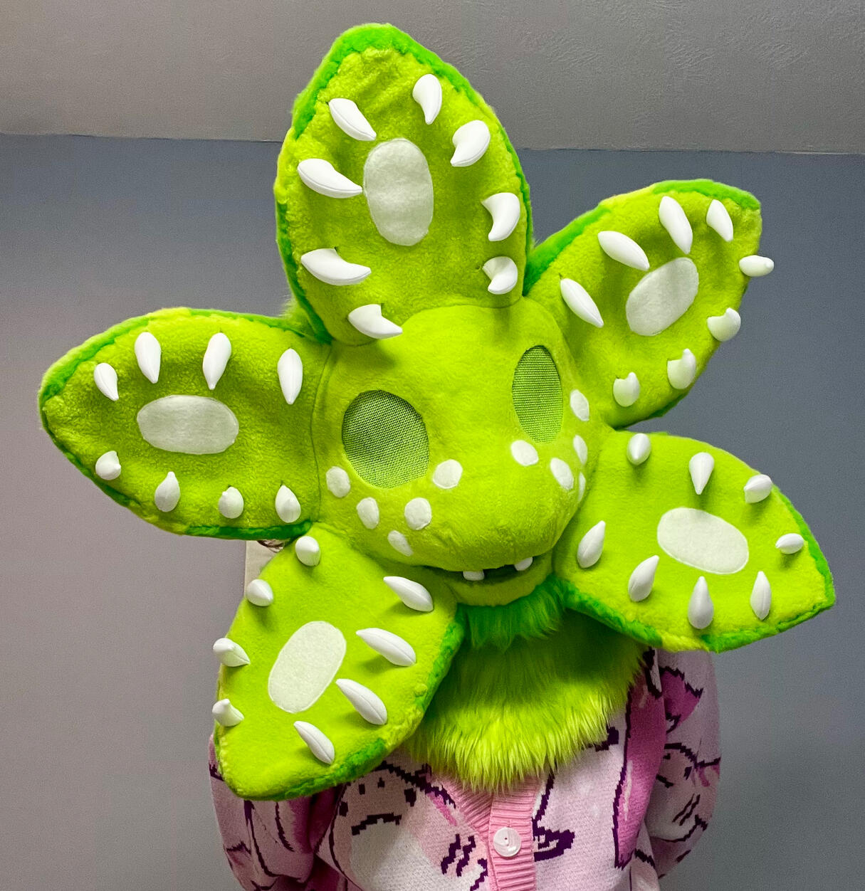 Saturn Head (Jun 2025)