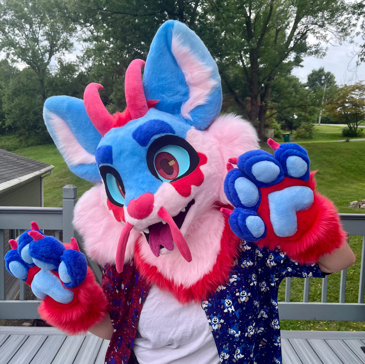 Ribs Mini Partial (Jul 2025)