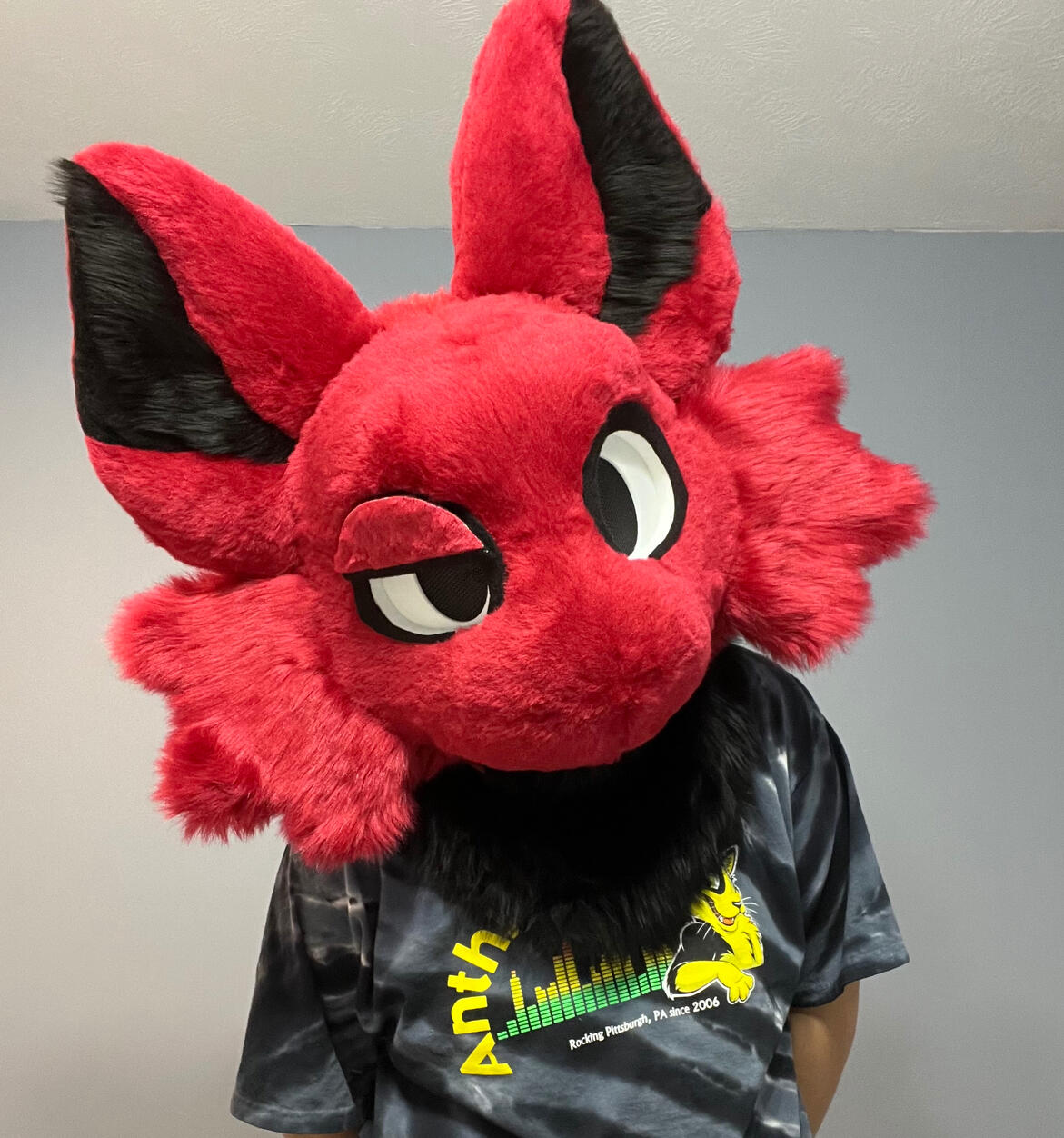 Knawt Head (Jul 2024)