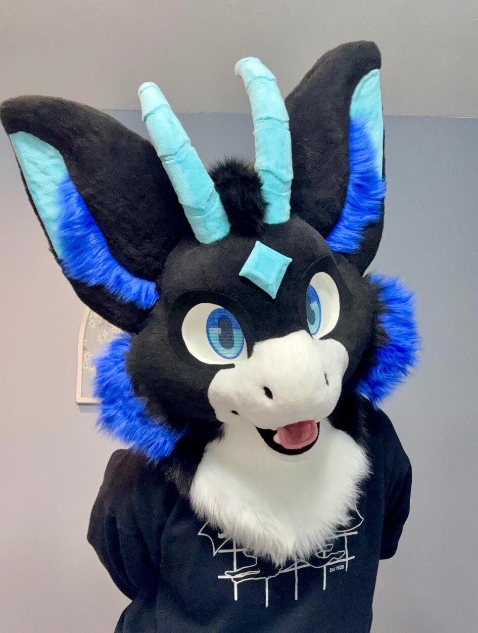 Gemmie Fullsuit (Jan 2026)