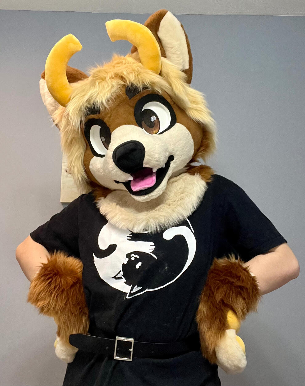 Buckaroni Mini Partial (Apr 2025)